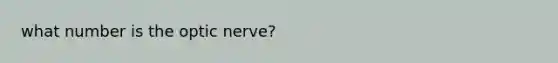 what number is the optic nerve?