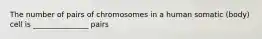 The number of pairs of chromosomes in a human somatic (body) cell is _______________ pairs