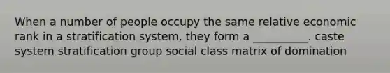 When a number of people occupy the same relative economic rank in a stratification system, they form a __________. caste system stratification group social class matrix of domination