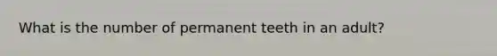 What is the number of permanent teeth in an adult?