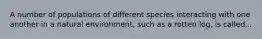 A number of populations of different species interacting with one another in a natural environment, such as a rotten log, is called...