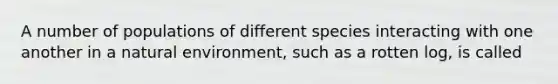A number of populations of different species interacting with one another in a natural environment, such as a rotten log, is called