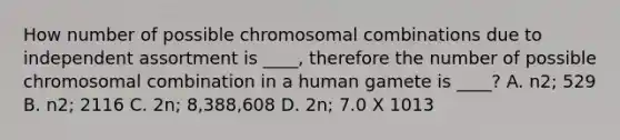 How number of possible chromosomal combinations due to independent assortment is ____, therefore the number of possible chromosomal combination in a human gamete is ____? A. n2; 529 B. n2; 2116 C. 2n; 8,388,608 D. 2n; 7.0 X 1013