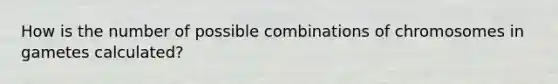 How is the number of possible combinations of chromosomes in gametes calculated?