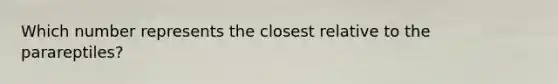 Which number represents the closest relative to the parareptiles?