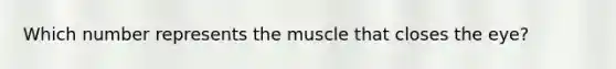 Which number represents the muscle that closes the eye?