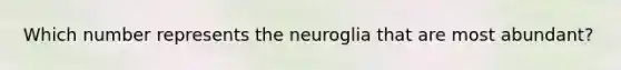 Which number represents the neuroglia that are most abundant?