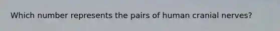 Which number represents the pairs of human cranial nerves?