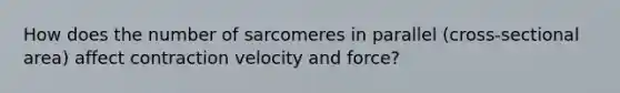 How does the number of sarcomeres in parallel (cross-sectional area) affect contraction velocity and force?