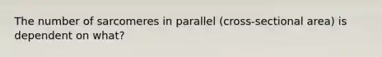 The number of sarcomeres in parallel (cross-sectional area) is dependent on what?