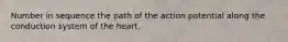 Number in sequence the path of the action potential along the conduction system of the heart.