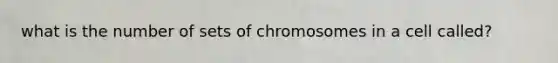 what is the number of sets of chromosomes in a cell called?