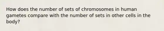 How does the number of sets of chromosomes in human gametes compare with the number of sets in other cells in the body?