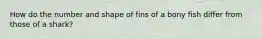 How do the number and shape of fins of a bony fish differ from those of a shark?