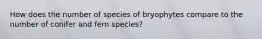 How does the number of species of bryophytes compare to the number of conifer and fern species?