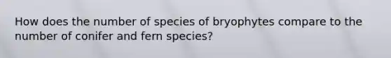 How does the number of species of bryophytes compare to the number of conifer and fern species?