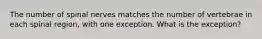 The number of spinal nerves matches the number of vertebrae in each spinal region, with one exception. What is the exception?