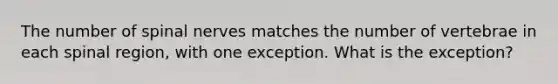 The number of spinal nerves matches the number of vertebrae in each spinal region, with one exception. What is the exception?