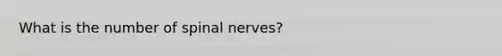 What is the number of spinal nerves?