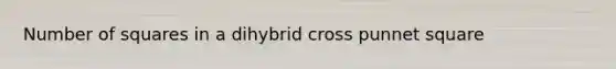 Number of squares in a dihybrid cross punnet square