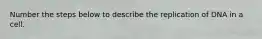 Number the steps below to describe the replication of DNA in a cell.