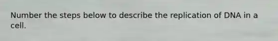 Number the steps below to describe the replication of DNA in a cell.