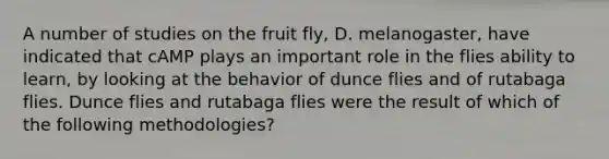 A number of studies on the fruit fly, D. melanogaster, have indicated that cAMP plays an important role in the flies ability to learn, by looking at the behavior of dunce flies and of rutabaga flies. Dunce flies and rutabaga flies were the result of which of the following methodologies?