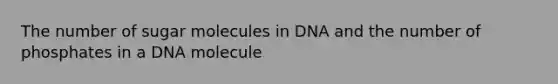 The number of sugar molecules in DNA and the number of phosphates in a DNA molecule