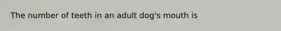 The number of teeth in an adult dog's mouth is