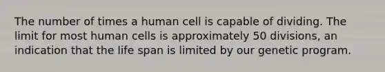 The number of times a human cell is capable of dividing. The limit for most human cells is approximately 50 divisions, an indication that the life span is limited by our genetic program.