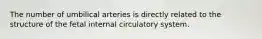 The number of umbilical arteries is directly related to the structure of the fetal internal circulatory system.