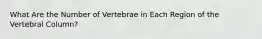 What Are the Number of Vertebrae in Each Region of the Vertebral Column?