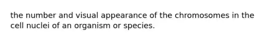 the number and visual appearance of the chromosomes in the cell nuclei of an organism or species.