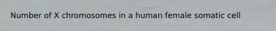 Number of X chromosomes in a human female somatic cell