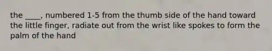 the ____, numbered 1-5 from the thumb side of the hand toward the little finger, radiate out from the wrist like spokes to form the palm of the hand