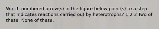 Which numbered arrow(s) in the figure below point(s) to a step that indicates reactions carried out by heterotrophs? 1 2 3 Two of these. None of these.