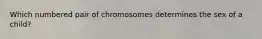 Which numbered pair of chromosomes determines the sex of a child?