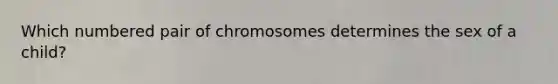 Which numbered pair of chromosomes determines the sex of a child?