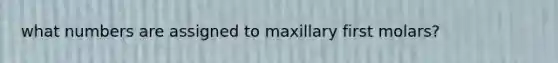 what numbers are assigned to maxillary first molars?