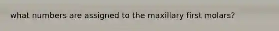 what numbers are assigned to the maxillary first molars?