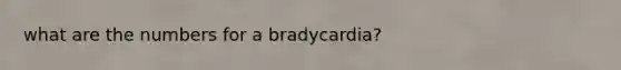 what are the numbers for a bradycardia?