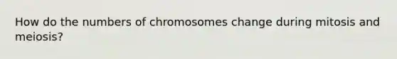 How do the numbers of chromosomes change during mitosis and meiosis?