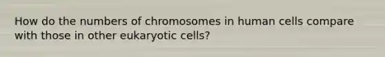 How do the numbers of chromosomes in human cells compare with those in other <a href='https://www.questionai.com/knowledge/kb526cpm6R-eukaryotic-cells' class='anchor-knowledge'>eukaryotic cells</a>?