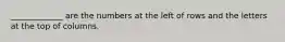_____________ are the numbers at the left of rows and the letters at the top of columns.