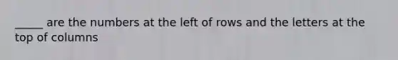 _____ are the numbers at the left of rows and the letters at the top of columns