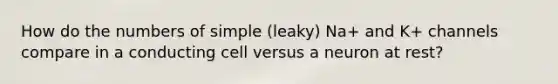 How do the numbers of simple (leaky) Na+ and K+ channels compare in a conducting cell versus a neuron at rest?