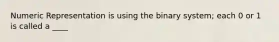 Numeric Representation is using the binary system; each 0 or 1 is called a ____
