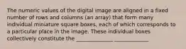 The numeric values of the digital image are aligned in a fixed number of rows and columns (an array) that form many individual miniature square boxes, each of which corresponds to a particular place in the image. These individual boxes collectively constitute the ______________ _____________