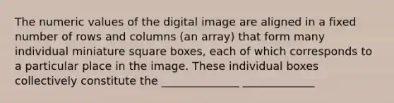 The numeric values of the digital image are aligned in a fixed number of rows and columns (an array) that form many individual miniature square boxes, each of which corresponds to a particular place in the image. These individual boxes collectively constitute the ______________ _____________