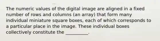 The numeric values of the digital image are aligned in a fixed number of rows and columns (an array) that form many individual miniature square boxes, each of which corresponds to a particular place in the image. These individual boxes collectively constitute the __________.